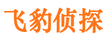 扬州市侦探调查公司